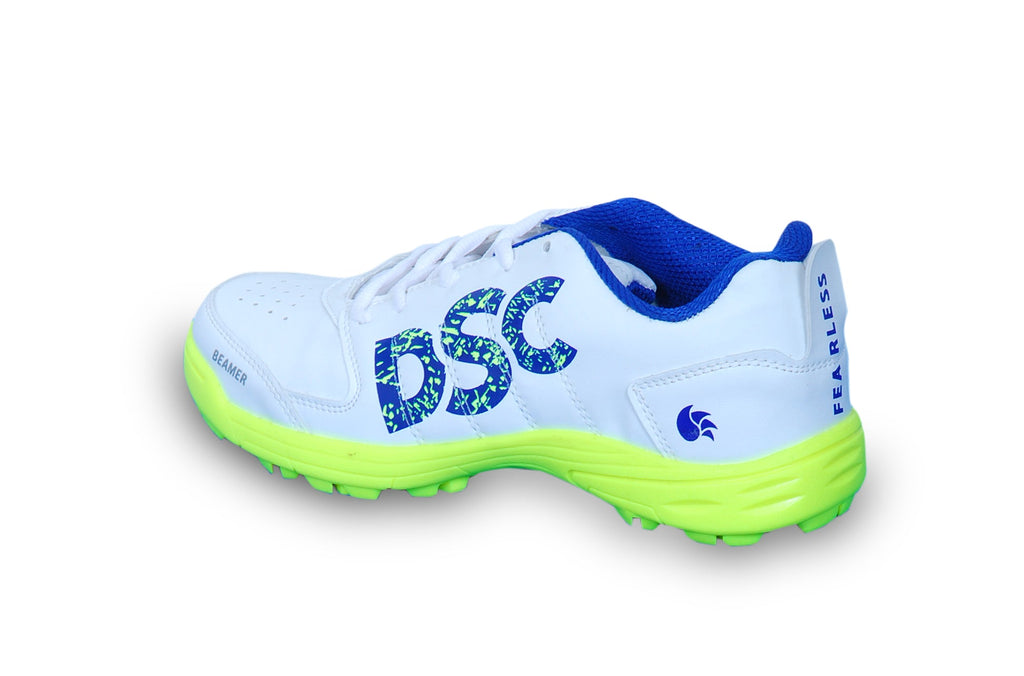 DSC Fearless Shoes Cricket Shoes