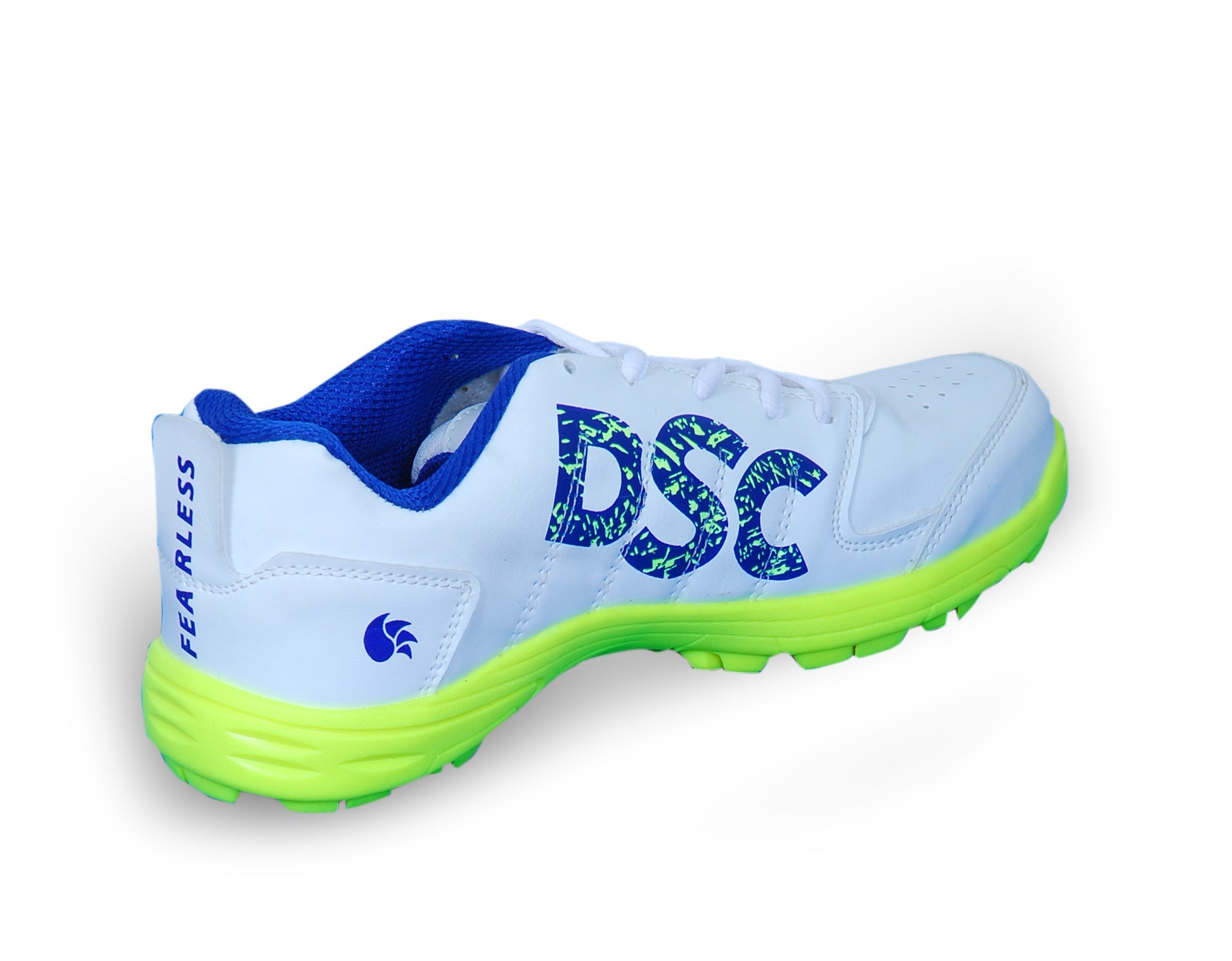 DSC Fearless Shoes Cricket Shoes