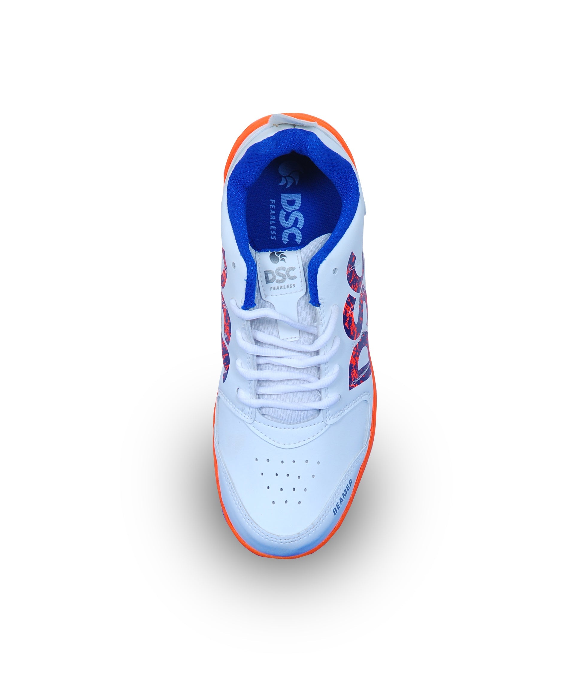 DSC Fearless Shoes Cricket Shoes